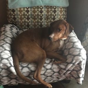 Meet your Posher, Shea